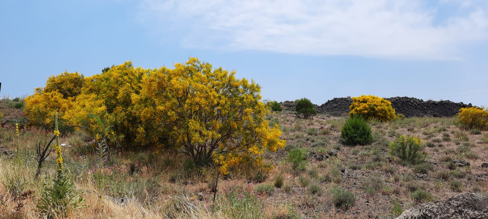 escursione etna